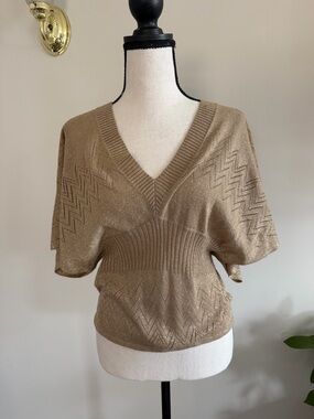 V-Neck Short Sleeve Knit Top in Taupe
